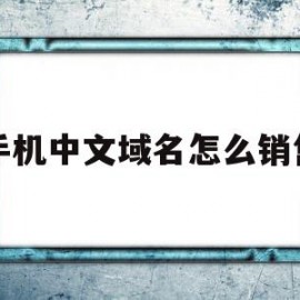 手机中文域名怎么销售(销售中文域名的工作怎么样)