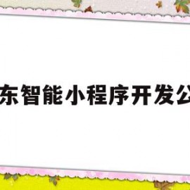 山东智能小程序开发公司的简单介绍