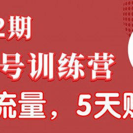 视频号训练营第2期：引爆流量疯狂下单，5天赚2万+全流程解析