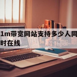 1m带宽网站支持多少人同时在线的简单介绍