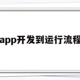 app开发到运行流程(app开发到运行流程是什么)