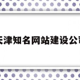 天津知名网站建设公司(天津B2B网站建设公司怎么做)