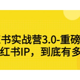 小红书实战营3.0-重磅来袭：做好小红书IP，到底有多赚钱？（价值7999元）