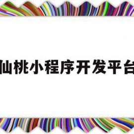 仙桃小程序开发平台(仙桃网络科技有限公司)