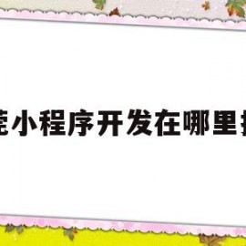 东莞小程序开发在哪里找到(东莞市小程序电子商务有限公司)