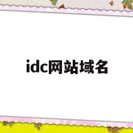 idc网站域名(网站域名ip地址查询)