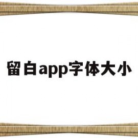 留白app字体大小(留白app字体大小怎么设置)