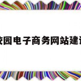 校园电子商务网站建设(校园电子商务网站建设论文)