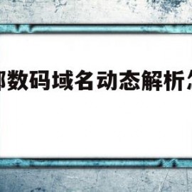 西部数码域名动态解析怎么做(西部数码的域名怎么解析到阿里云)