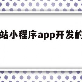 网站小程序app开发的平台(网站小程序开发服务)