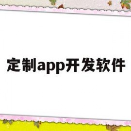 定制app开发软件(定制开发app的注意事项)