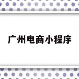 广州电商小程序(广州电商小程序公司)