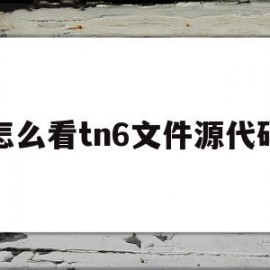 怎么看tn6文件源代码(怎么看文件的源代码)