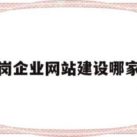 龙岗企业网站建设哪家好的简单介绍