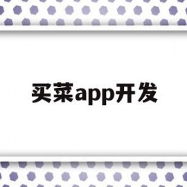 买菜app开发(做买菜app代理)