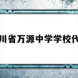 四川省万源中学学校代码(万源中学统一社会信用代码)