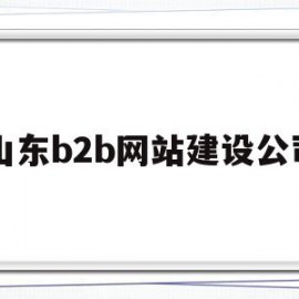 山东b2b网站建设公司(山东b2b网站建设公司有哪些)