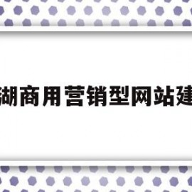 平湖商用营销型网站建设(平湖商用营销型网站建设方案)