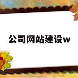 公司网站建设w(公司网站建设网站优化网络推广)