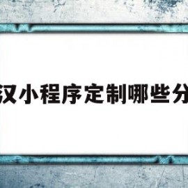 武汉小程序定制哪些分类(武汉微信小程序开发公司哪家好?)