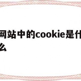 网站中的cookie是什么(网页的cookie什么意思)