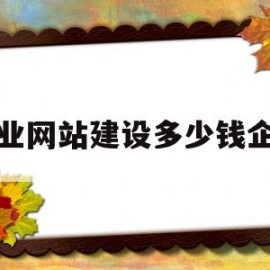 专业网站建设多少钱企业(专业网站建设多少钱企业能做)