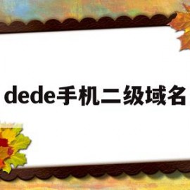 dede手机二级域名(手机上二级域名的前缀怎么填)