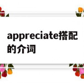 appreciate搭配的介词(appreciate的用法和短语)