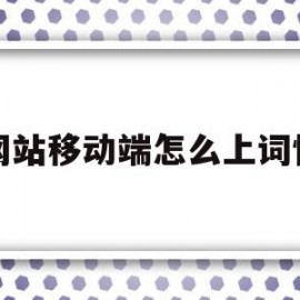 网站移动端怎么上词快(网站seo是怎么上词的)