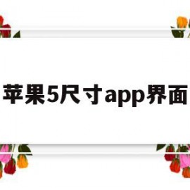 苹果5尺寸app界面(iphone主屏幕app大小)