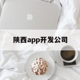 陕西app开发公司(西安app软件开发)