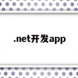 .net开发app(NET开发岗位招聘)