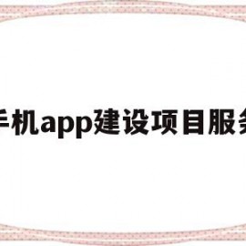 手机app建设项目服务(手机app建设项目服务怎么开通)