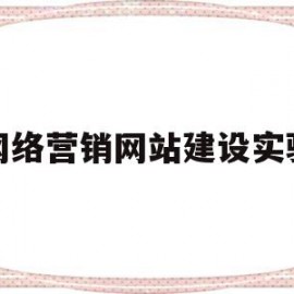 网络营销网站建设实验(营销型网站搭建实训报告)