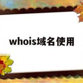 whois域名使用(who的域名)