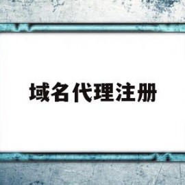 域名代理注册(域名注册代理机构)