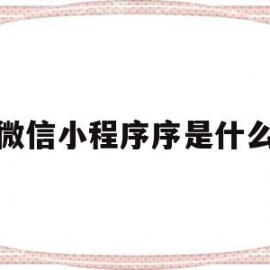 微信小程序序是什么(微信的小程序是干什么用的)