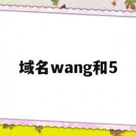 域名wang和5(wang域名有没有价值)