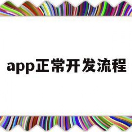 app正常开发流程(app正常开发流程是什么)