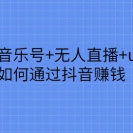 抖音音乐号+无人直播+u盘带货，教你如何通过抖音赚钱