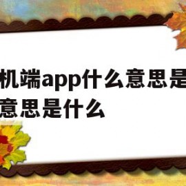 手机端app什么意思是什么意思是什么的简单介绍