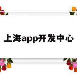 上海app开发中心(上海app开发价格表)