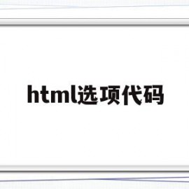 html选项代码(html 选项)