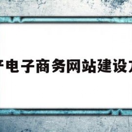 特产电子商务网站建设方案(特产电子商务网站建设方案怎么写)