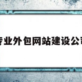 专业外包网站建设公司(专业外包网站建设公司哪家好)