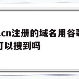 ..cn注册的域名用谷歌可以搜到吗的简单介绍