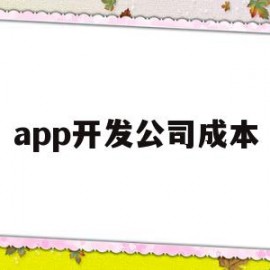 app开发公司成本(app开发公司成本分析)