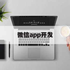 微信app开发(微信app开发教程)