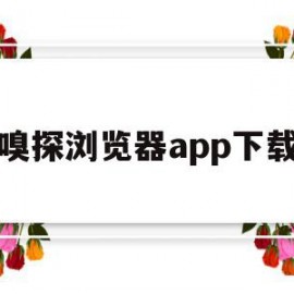 嗅探浏览器app下载(嗅探浏览器免费下载)