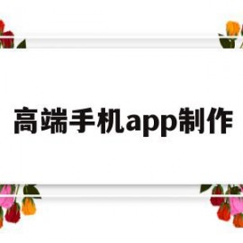 高端手机app制作(用手机制作app)